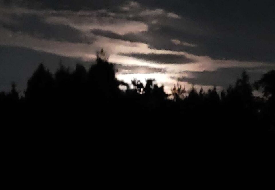 Kochanek działa po zmroku - Nocny___Kochanek