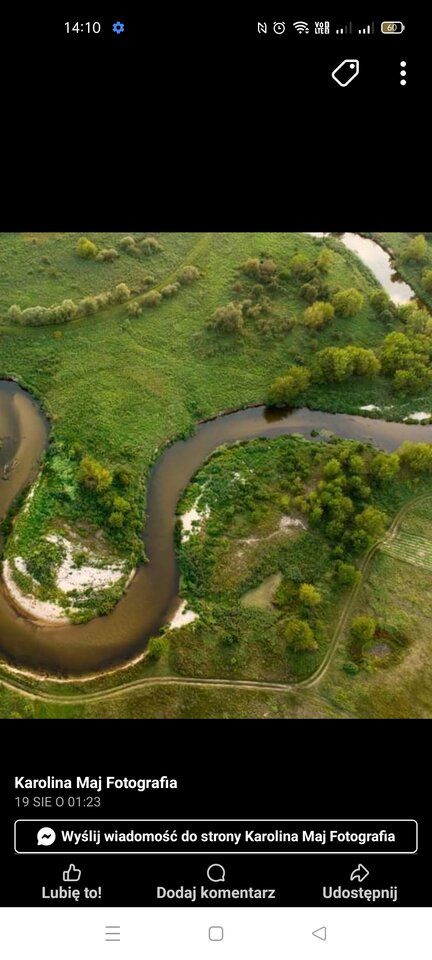 1000001217.jpg - Wszolek