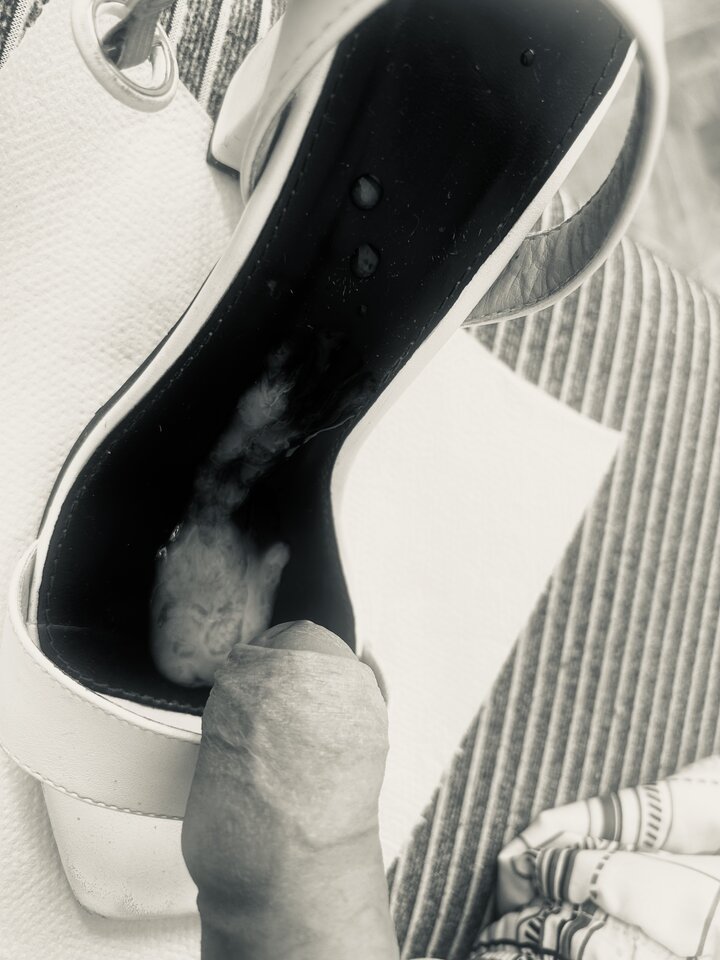 IMG_8050.jpeg - Piotrrandka