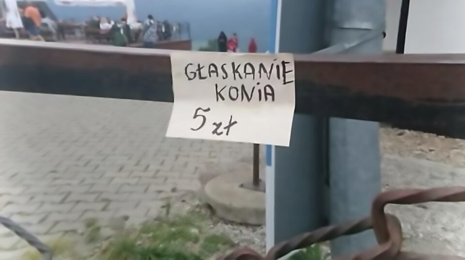 tlo-Zaraz będę!.jpg - midnight_jack