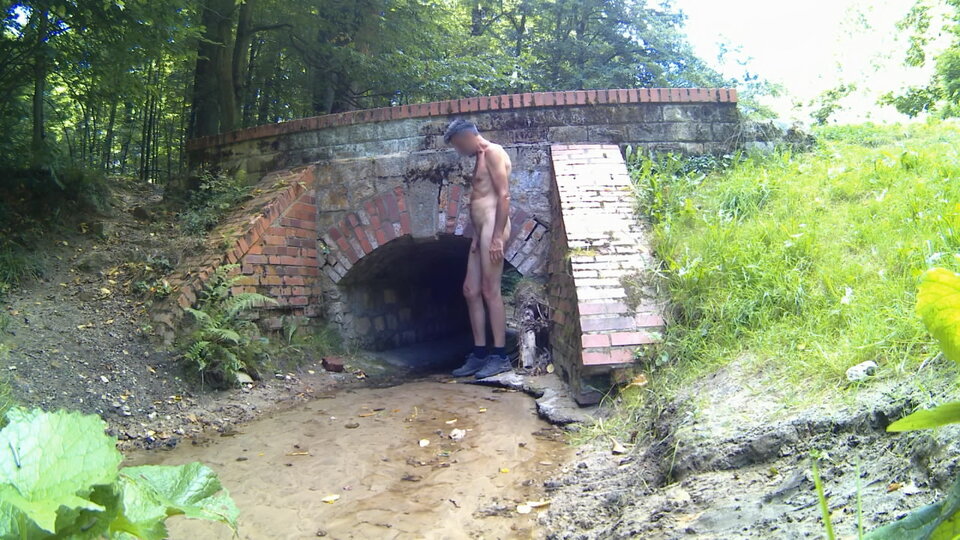 REPTY - mostek w parku 20250818.mp4_snapshot_00.31_[2025.08.18_1 - Krzysztof_cfnm