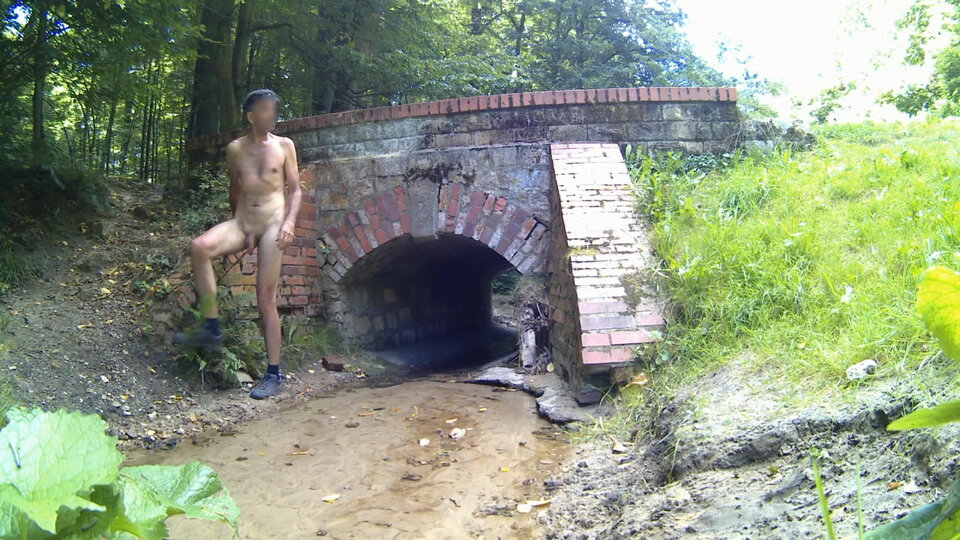 REPTY - mostek w parku 20250818.mp4_snapshot_00.35_[2025.08.18_1 - Krzysztof_cfnm
