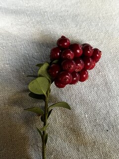 IMG_8436.jpeg