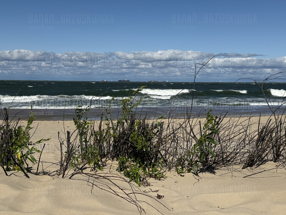 🌊 - Banan_Brzoskwinia