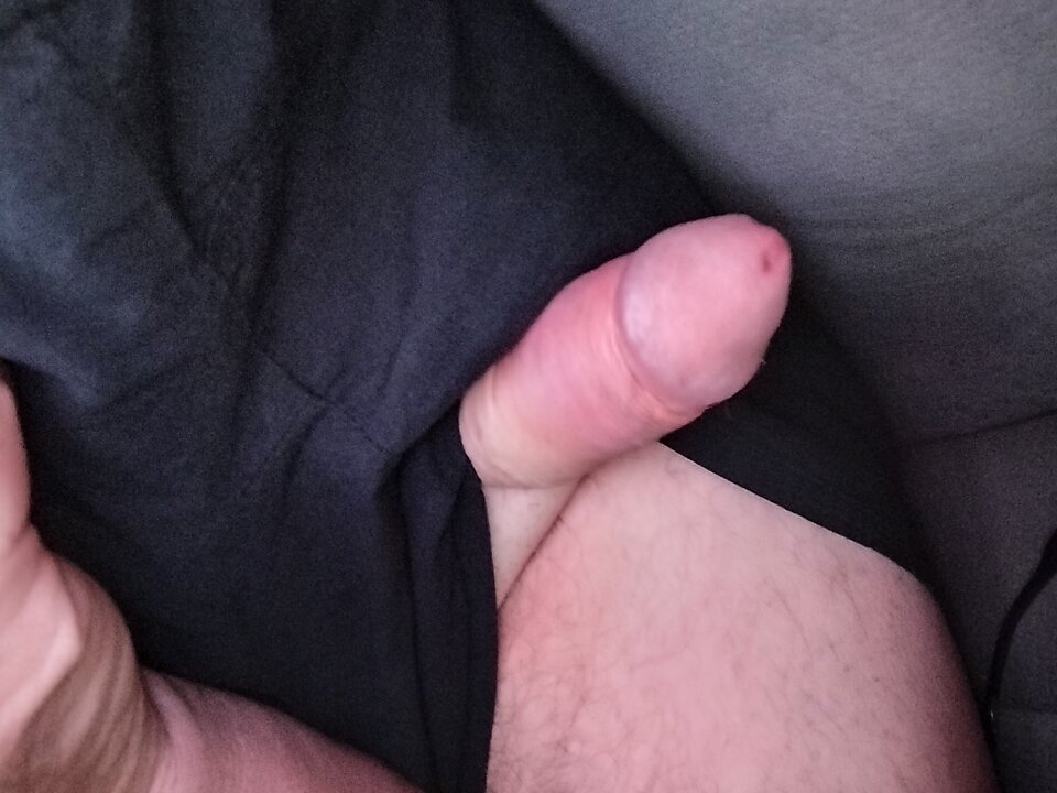 1000010628.jpg - an1954