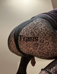 IMG_2951.jpeg