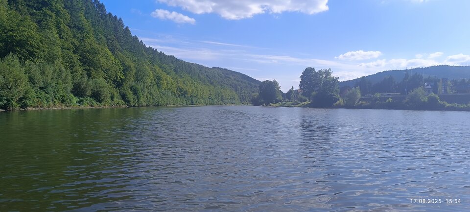 1000013732.jpg - Bull_Masters