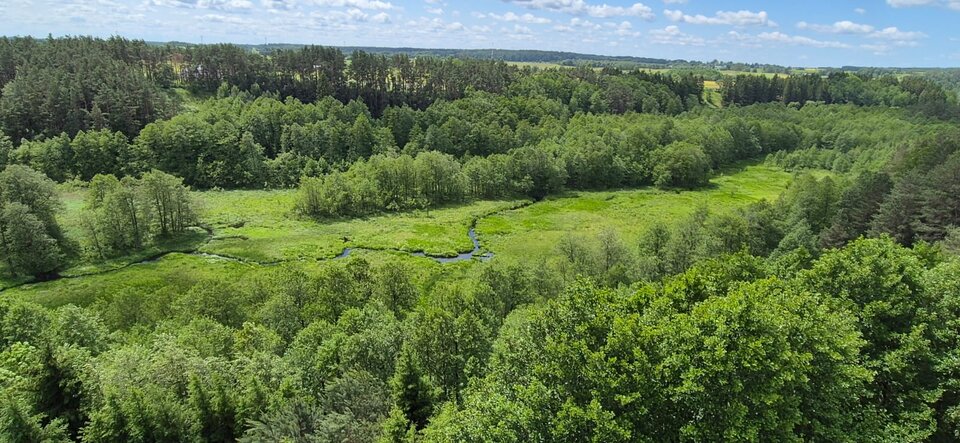 771e42ae.jpg - cosnowegodlapary