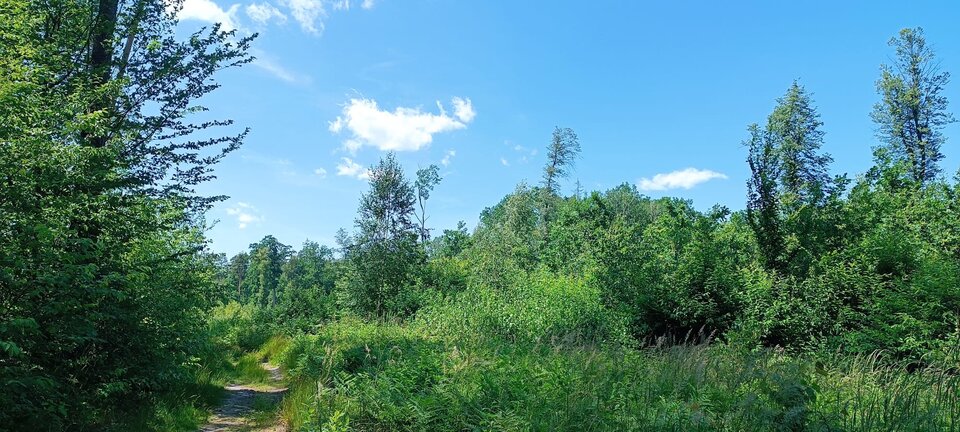 1000006319.jpg - MarcoPatek