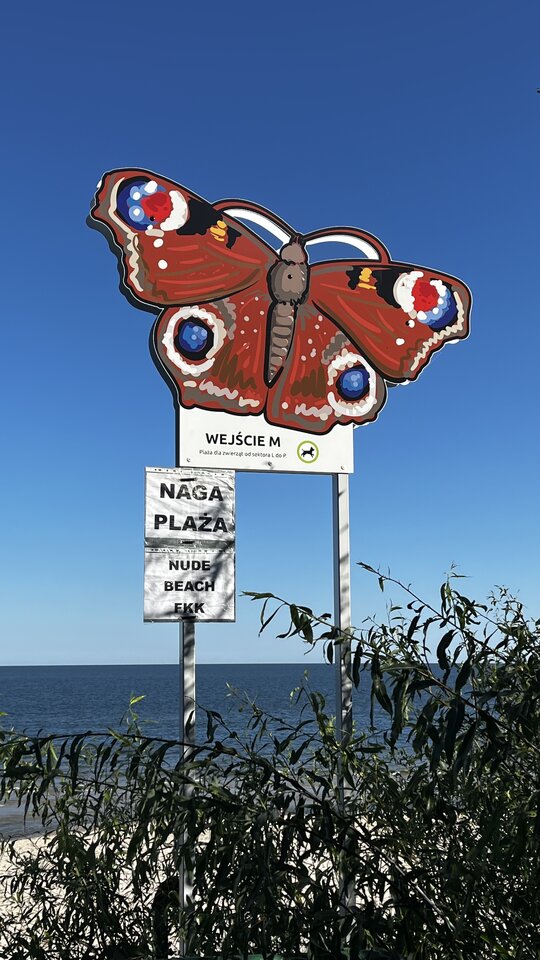 IMG_9262.jpeg - para0