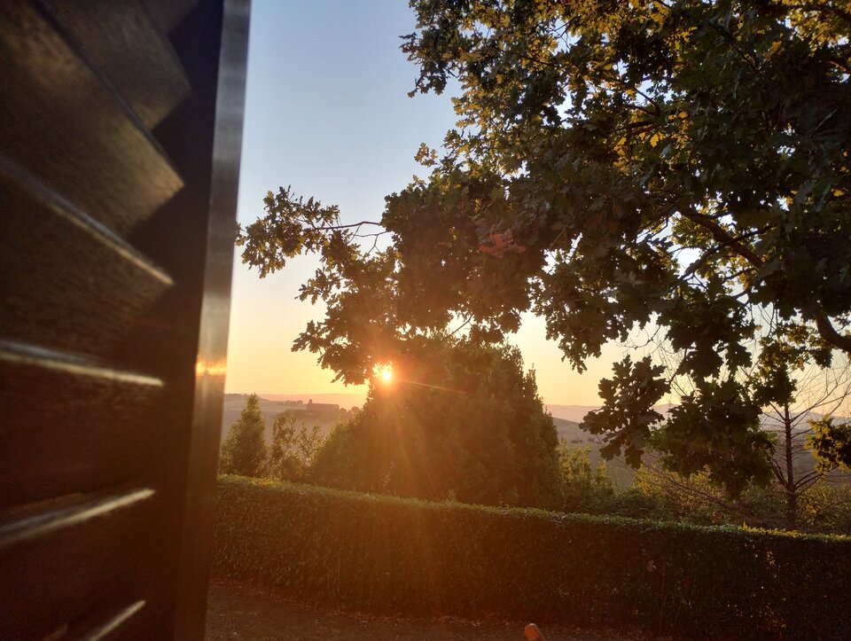 IMG_20250808_063212437_HDR.jpg - Tabas0