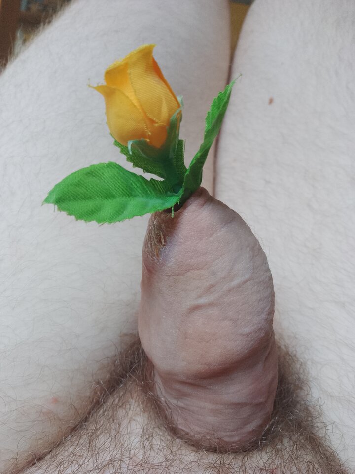 IMG_20250819_104434_520.jpg - Oleander98