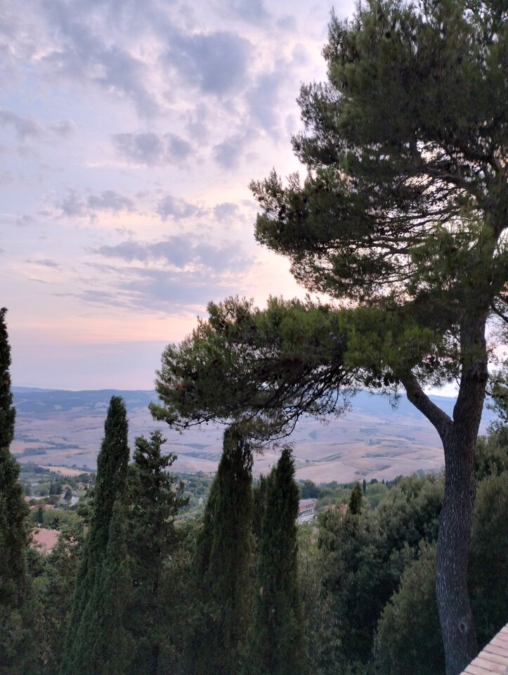 IMG_20250806_202719141_HDR.jpg - Tabas0