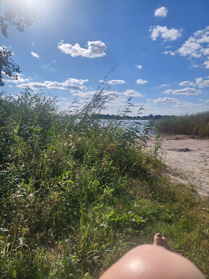 1000047227.jpg - Wredotaa