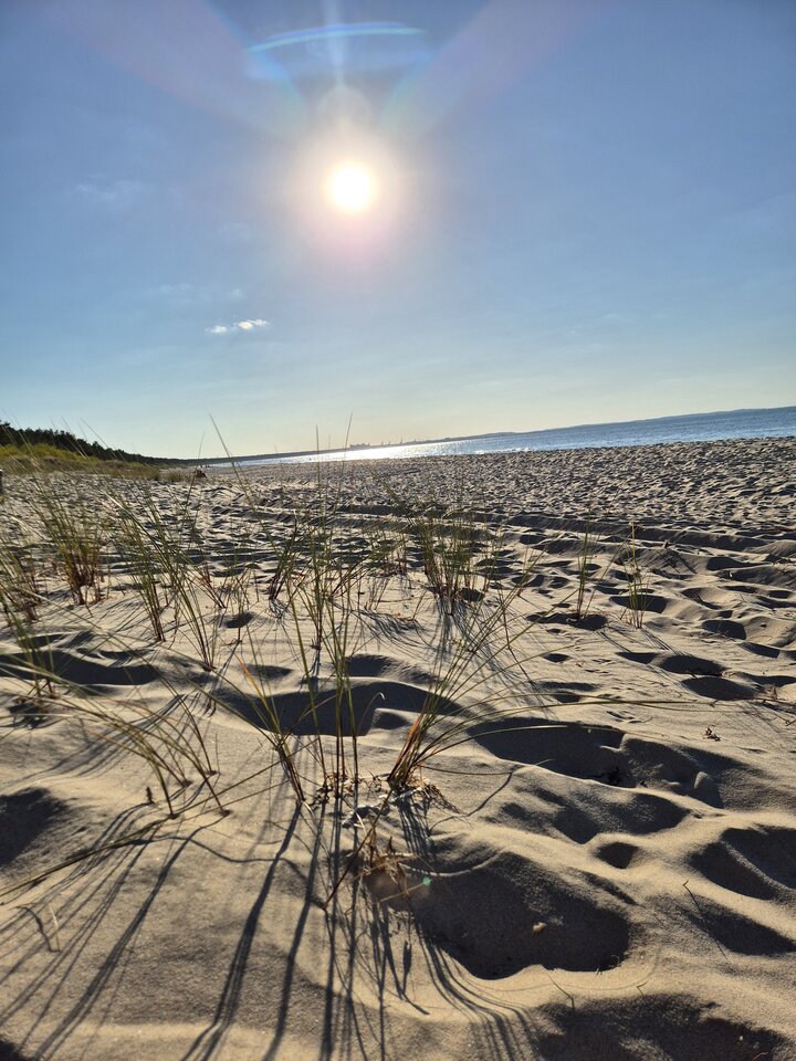 1000028308.jpg - Chlopczyk4