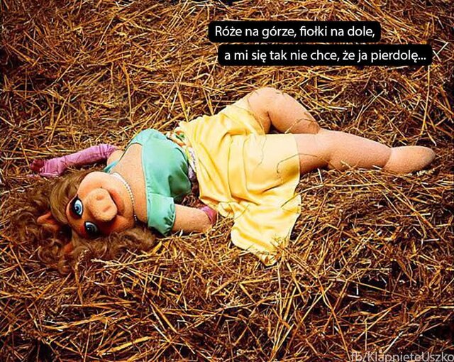 Nie chce mi się - PussiLover