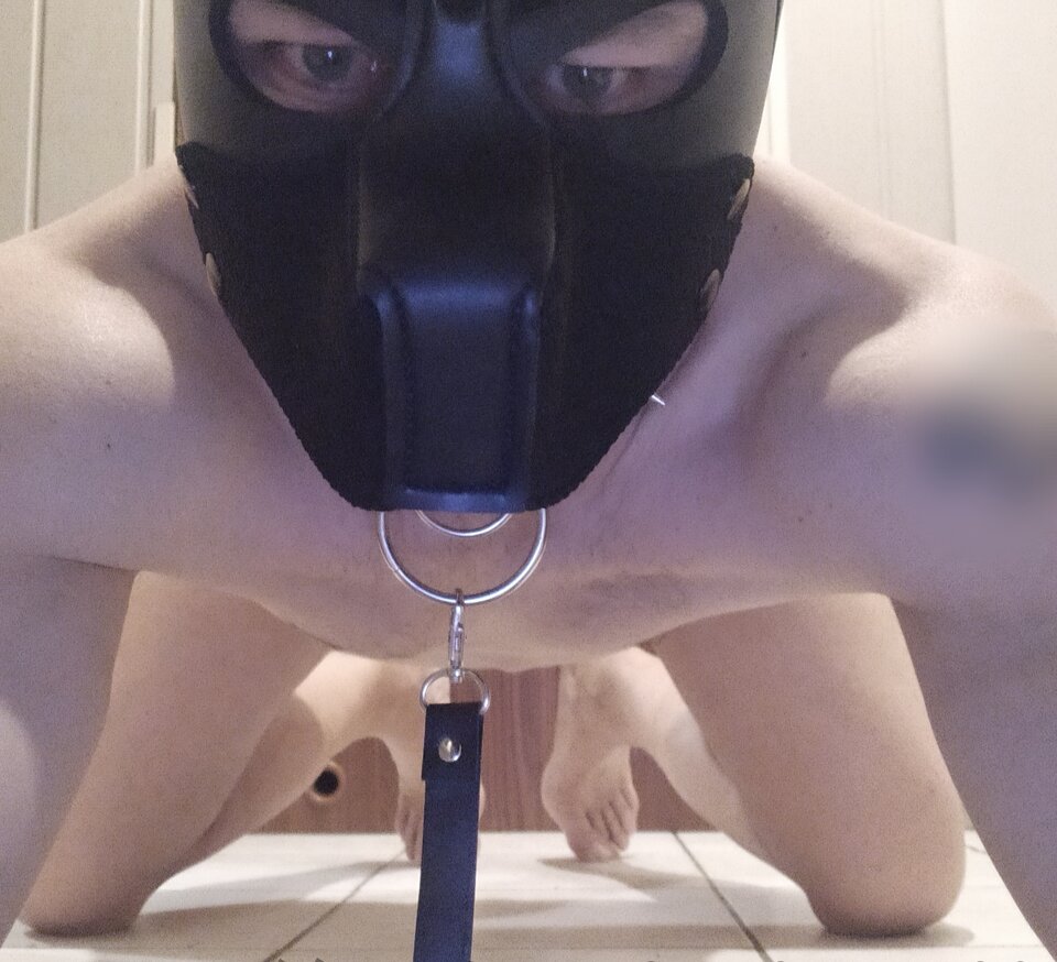 IMG_20250819_205307.jpg - Slavedog80