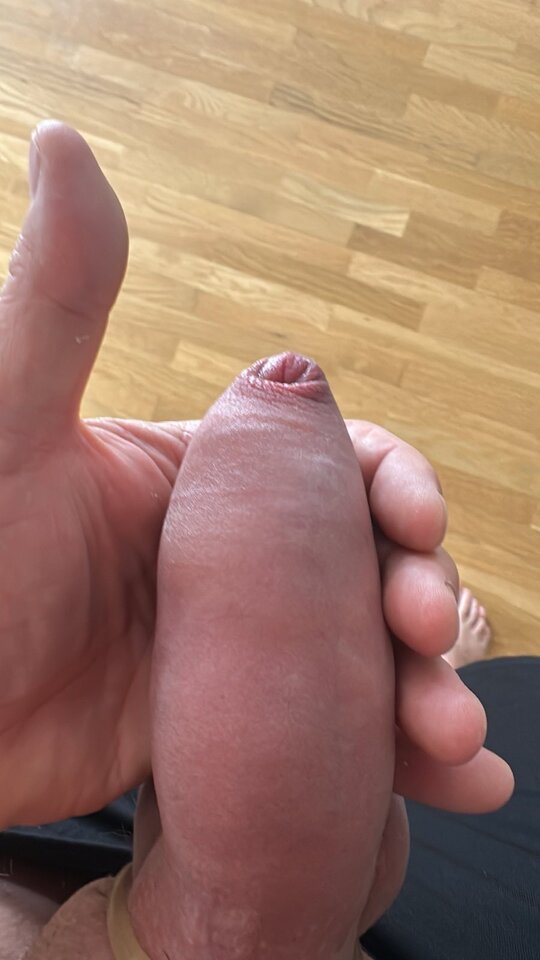 signal-2025-08-18-105326.jpeg - niezwyk7y28