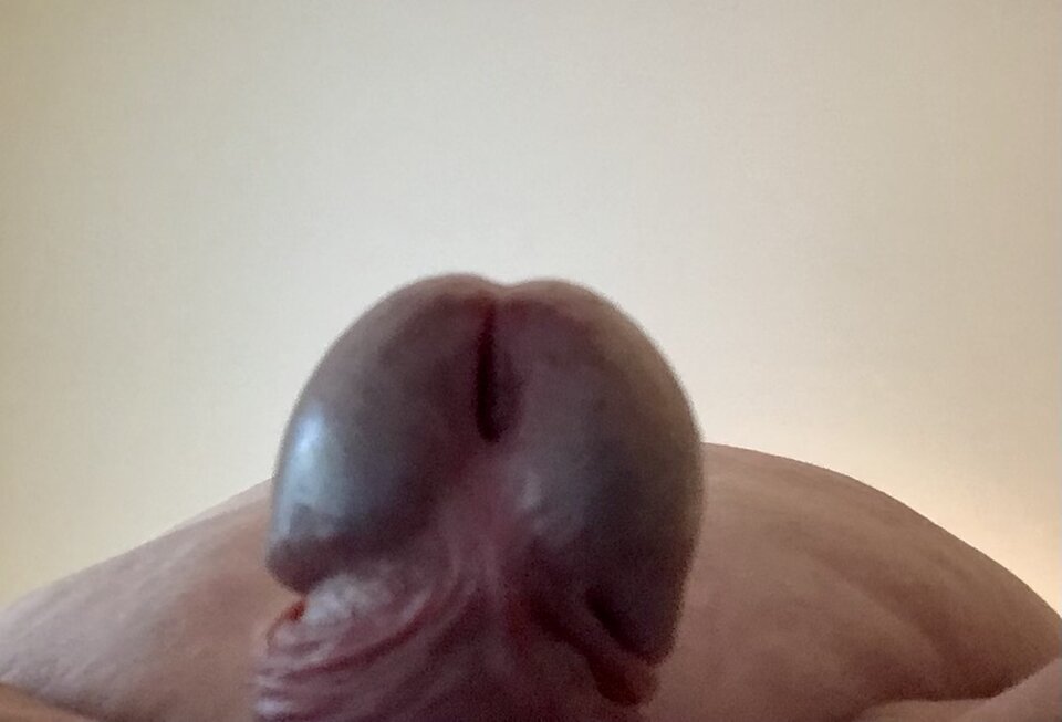 IMG_0394.jpeg - Greypervert