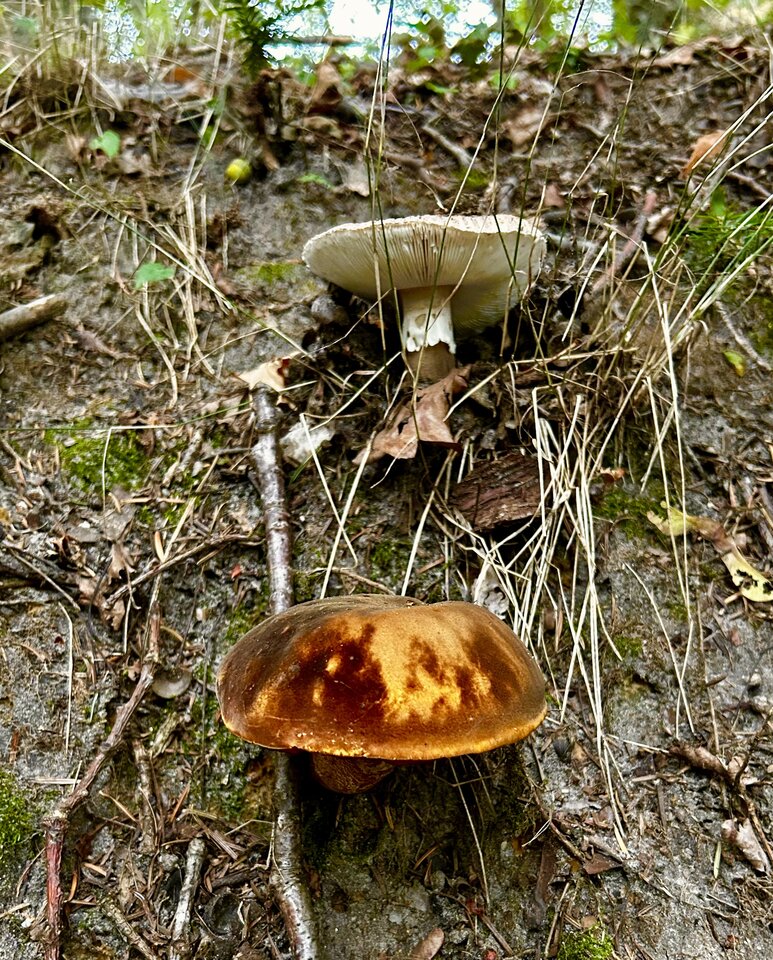 IMG_8478.jpeg - NaturystaXXX