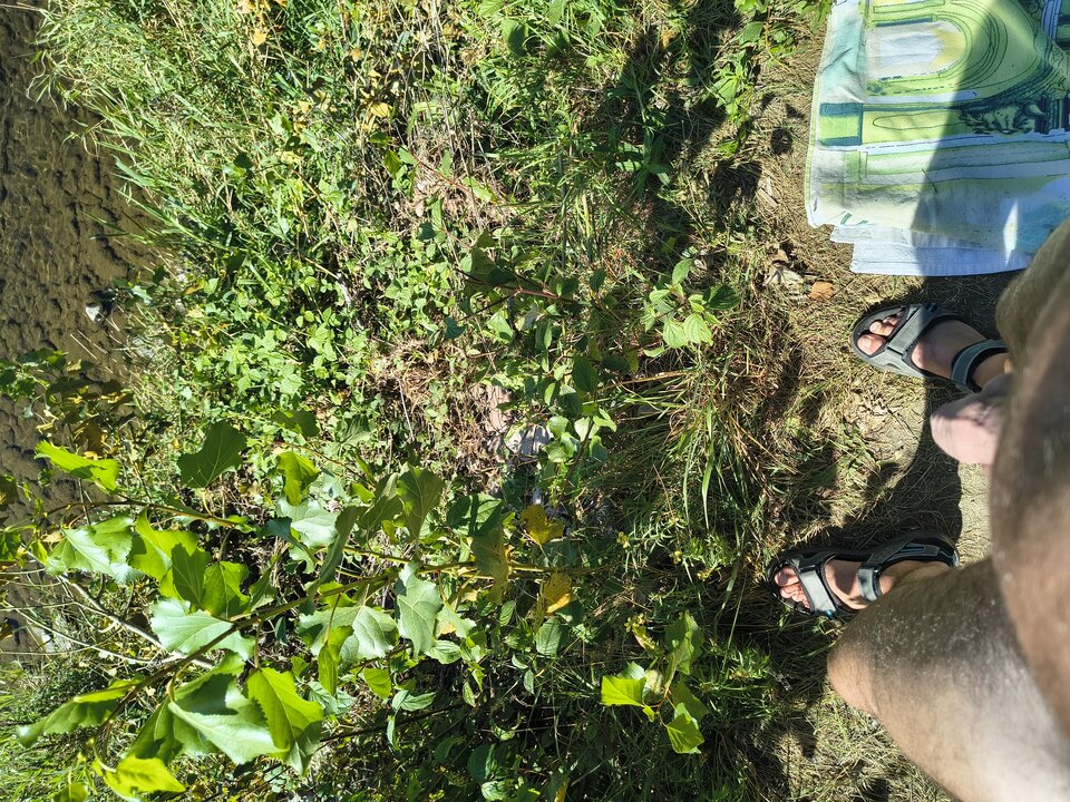 1000003473.jpg - Kocchanekarek