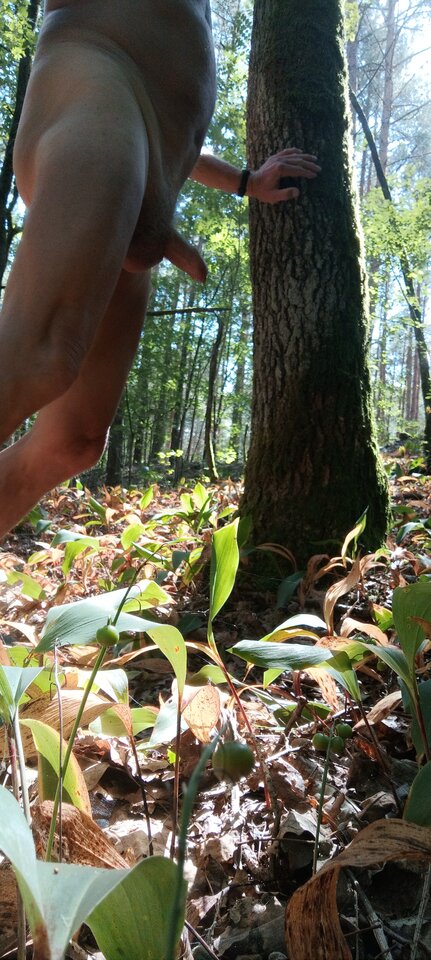 1000021491.jpg - 17xK