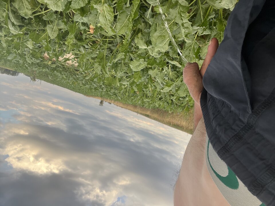 IMG_2852.jpeg - Fajny198422