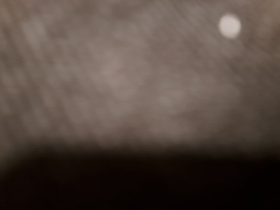 1000036123.jpg - Poki001