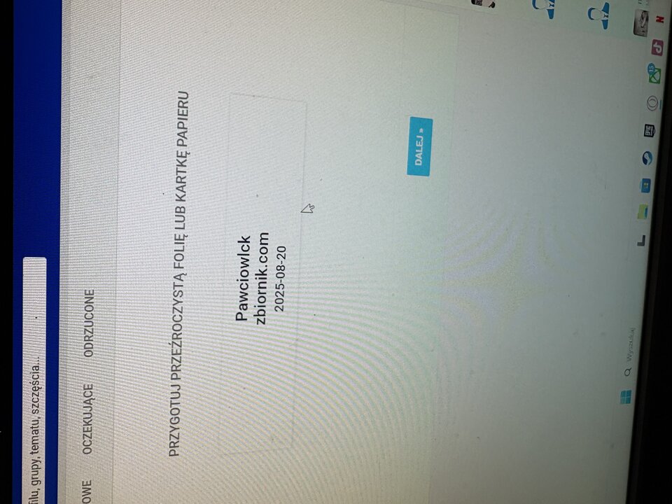 IMG_3491.jpeg - Pawciowlck