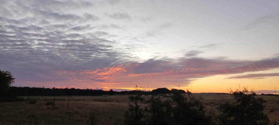 IMG_20250821_053652.jpg - edytkaandrzej