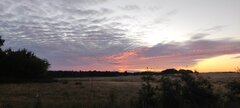 IMG_20250829_053654.jpg