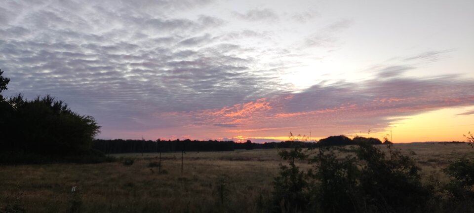 IMG_20250829_053654.jpg - edytkaandrzej