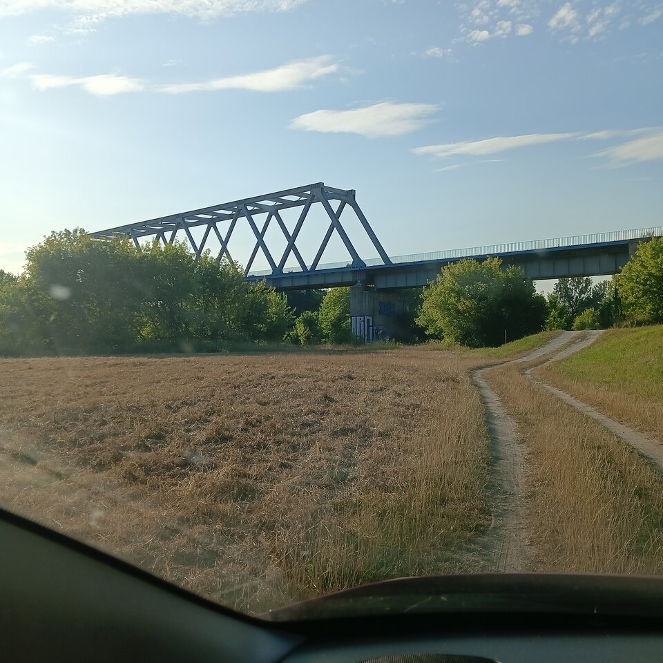 1000004013.jpg - Wszolek