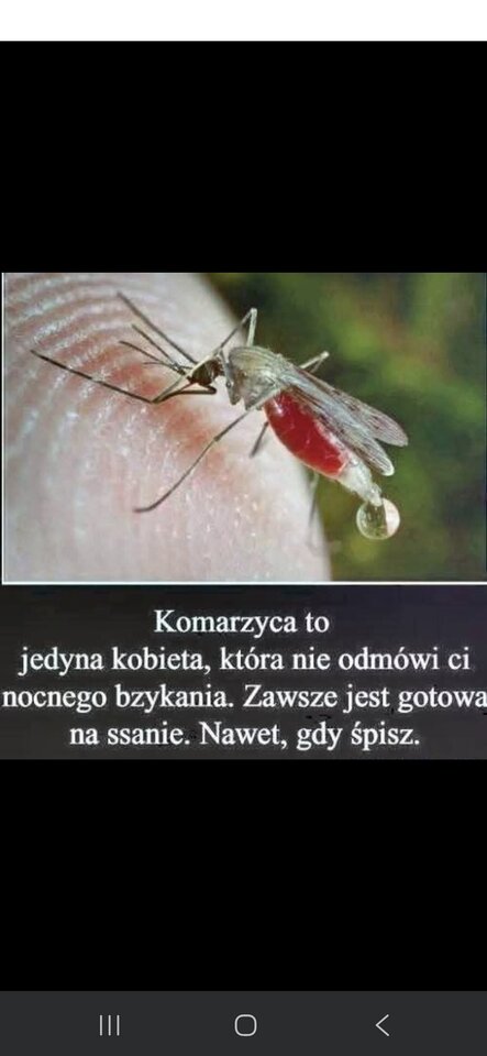 1000040762.jpg - Bi_para_KiP