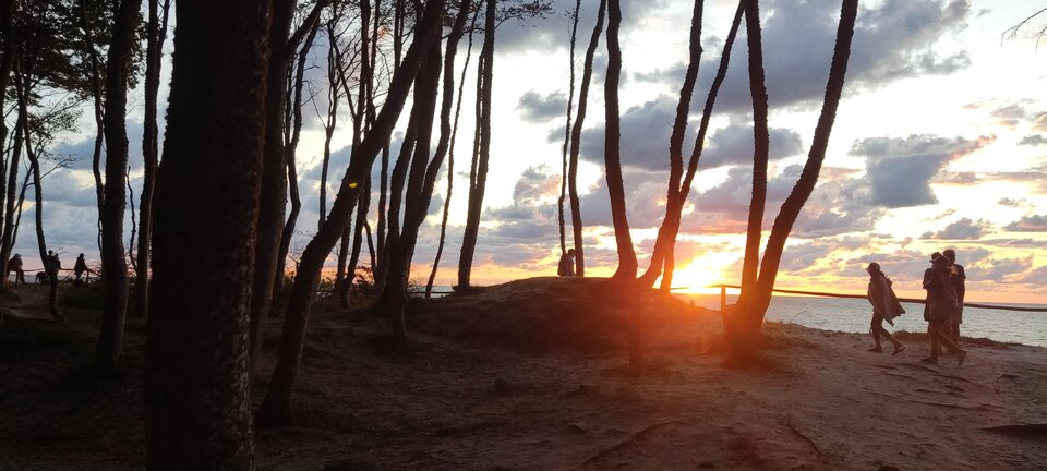 Miłego popołudnia - edytkaandrzej