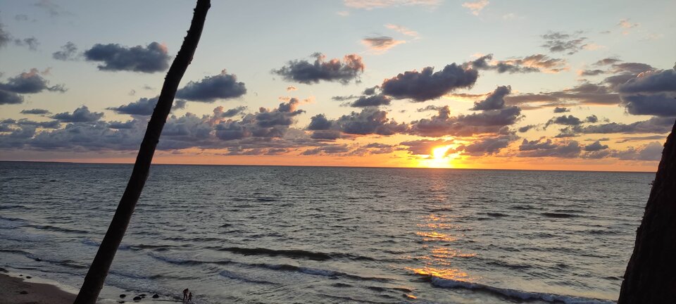 Dębina 31.08 - edytkaandrzej