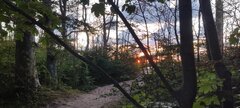 IMG_20250821_200424.jpg