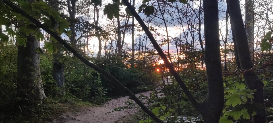 IMG_20250821_200424.jpg - edytkaandrzej