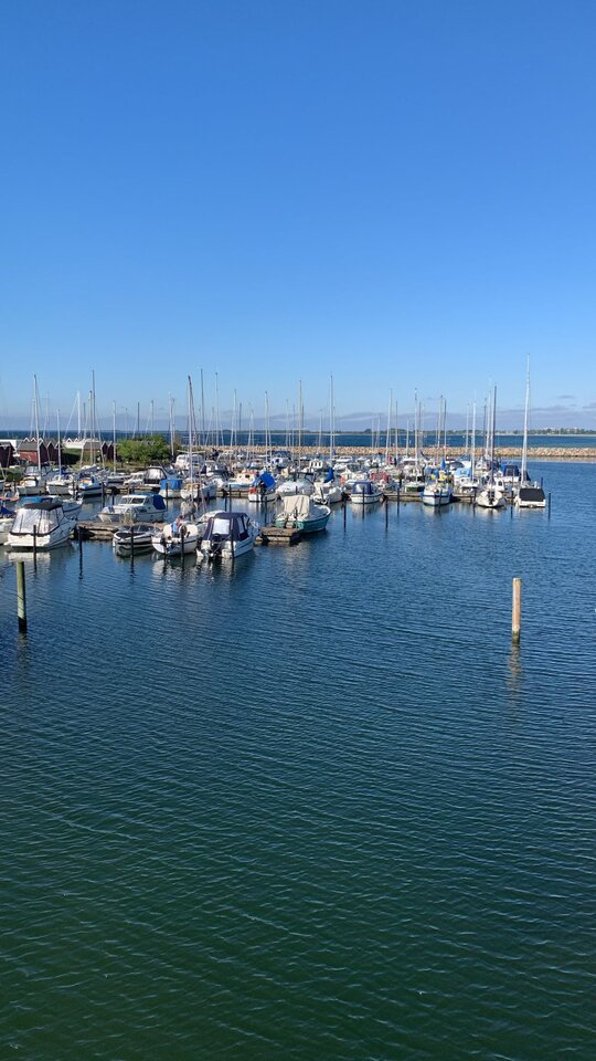 IMG-20250819-WA0012.jpg - Pawelspqr189