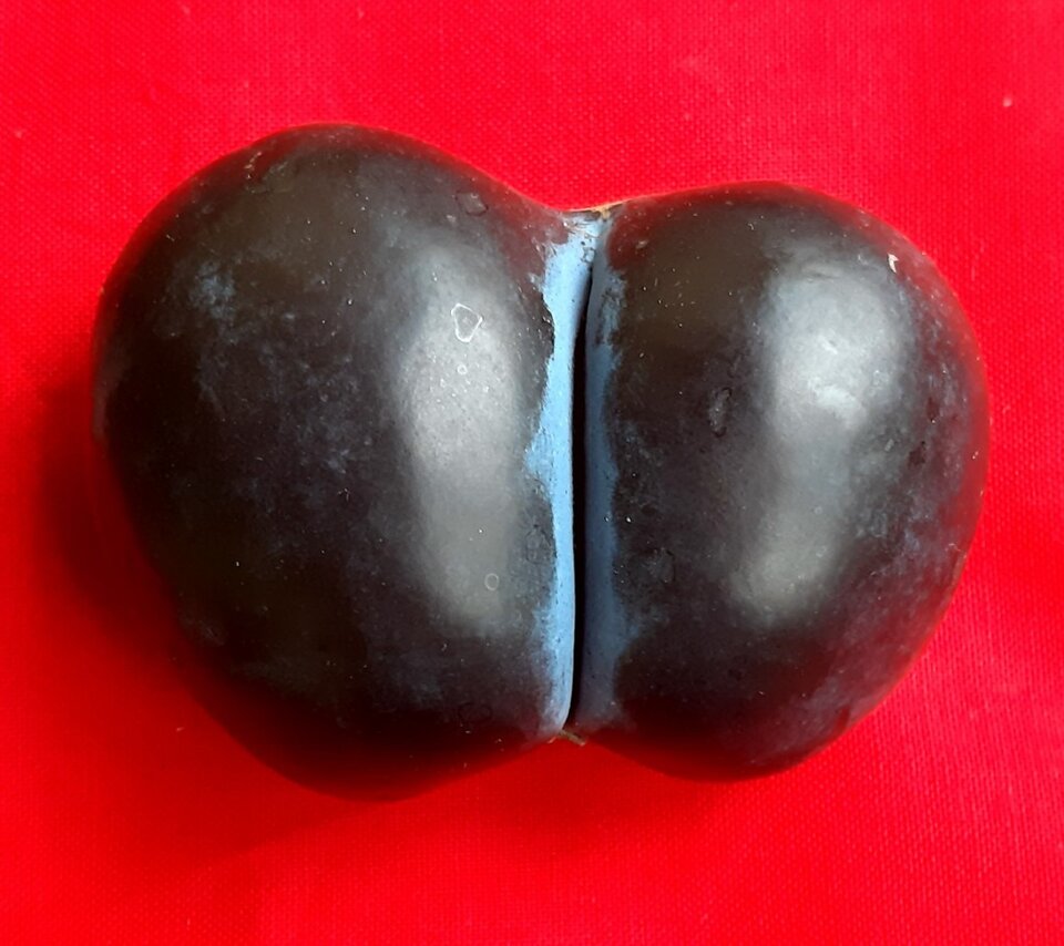 20250822_165353.jpg - Ali70plus