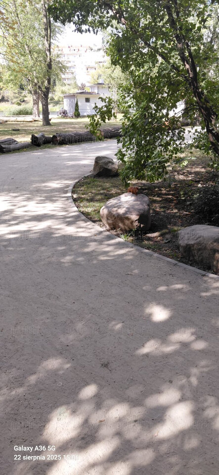 1000004095.jpg - Mature70