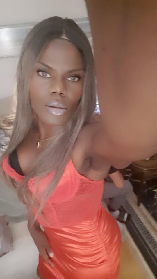 Snapchat-473409699.jpg - OniJegoTrans