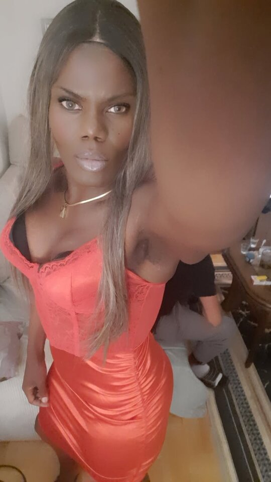 Snapchat-835494222.jpg - OniJegoTrans