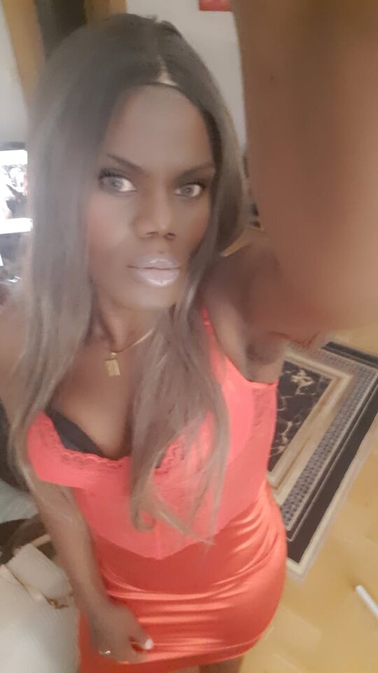 Snapchat-311900634.jpg - OniJegoTrans