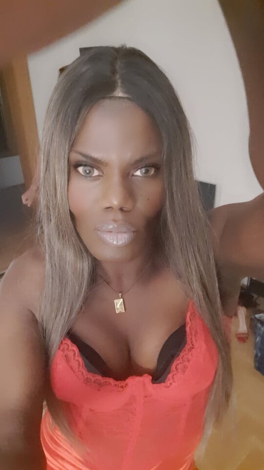 Snapchat-1258605395.jpg - OniJegoTrans