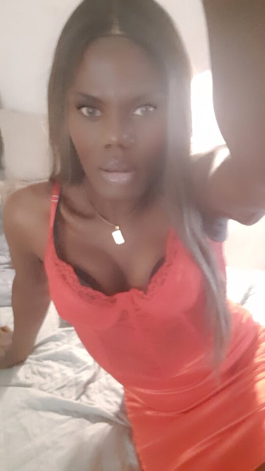 Snapchat-309936334.jpg - OniJegoTrans