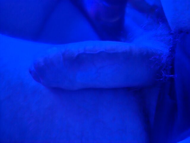 FanRajstopOrazPonczoch