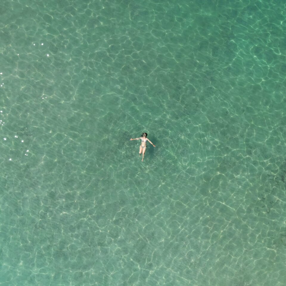 1000025558.jpg - swingpara