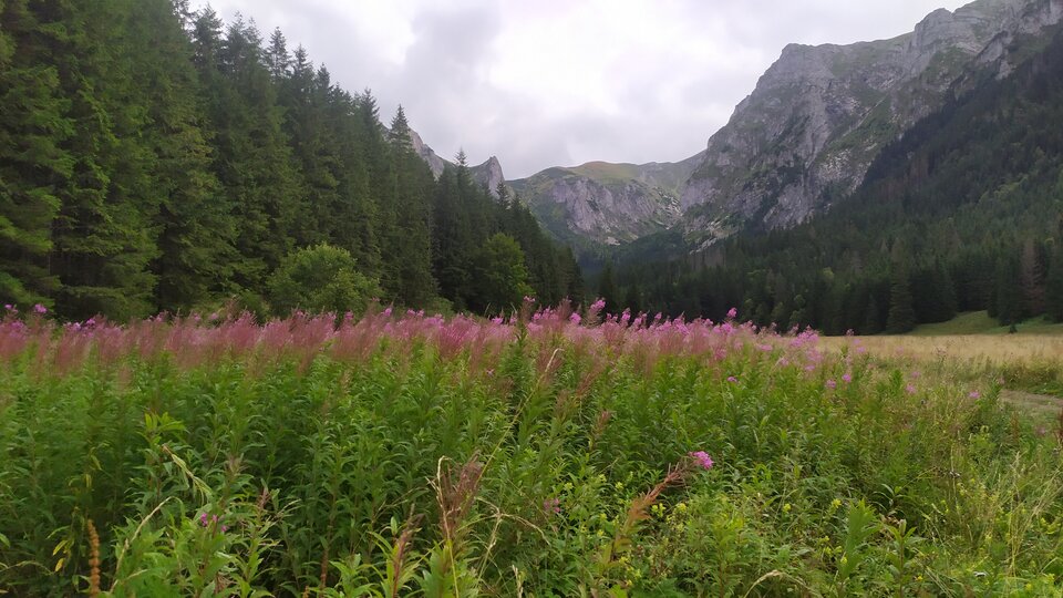 IMG_20250823_133807.jpg - VojtRes