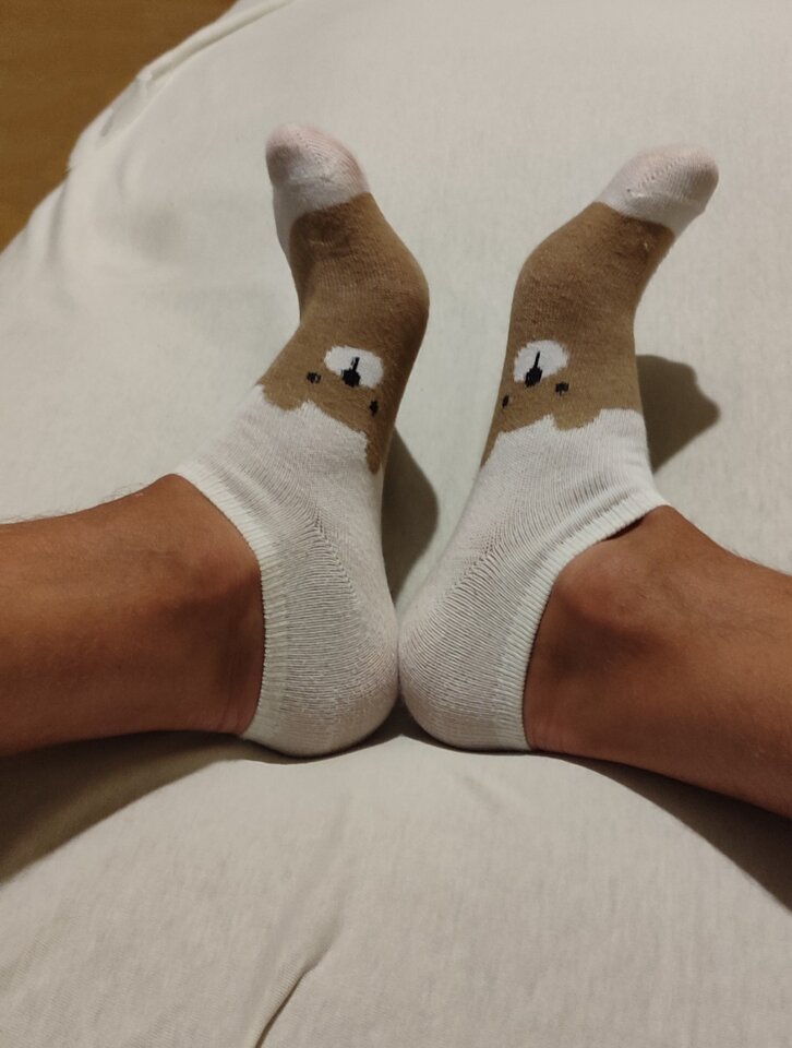 IMG_20250823_210335.jpg - skarpetkoowy